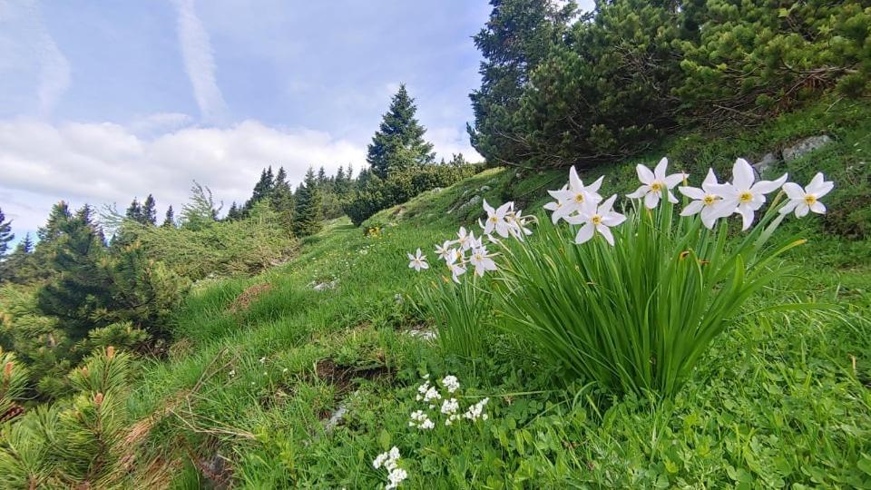Kiara Rooms Jesenice Buitenkant foto